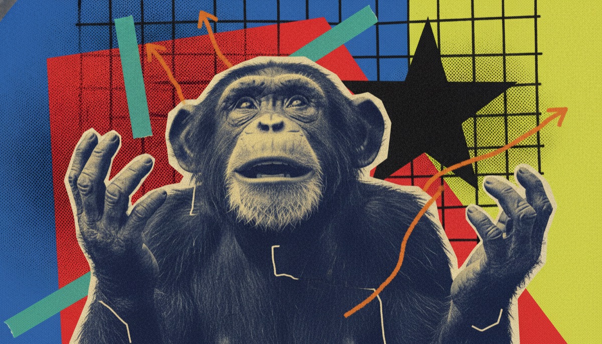 Pierre the Chimp Can See Again After Eye Surgery