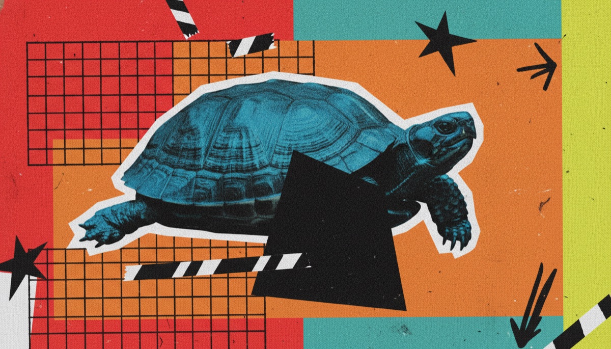 The Mystery of the Bright Blue Turtle